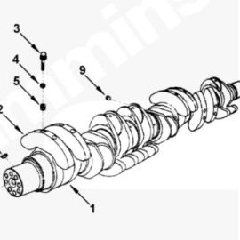 Cummins Crankshaft 3629189